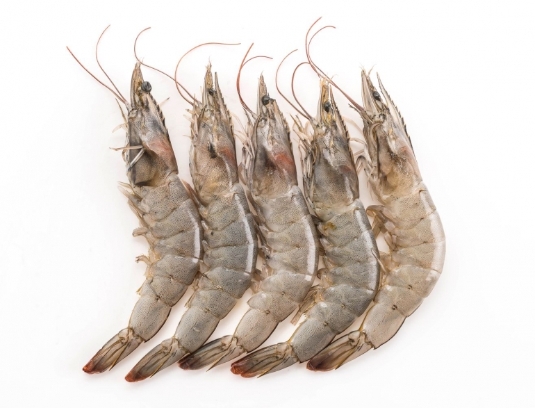 UDANG VANAMEI