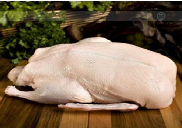 BEBEK KARKAS
